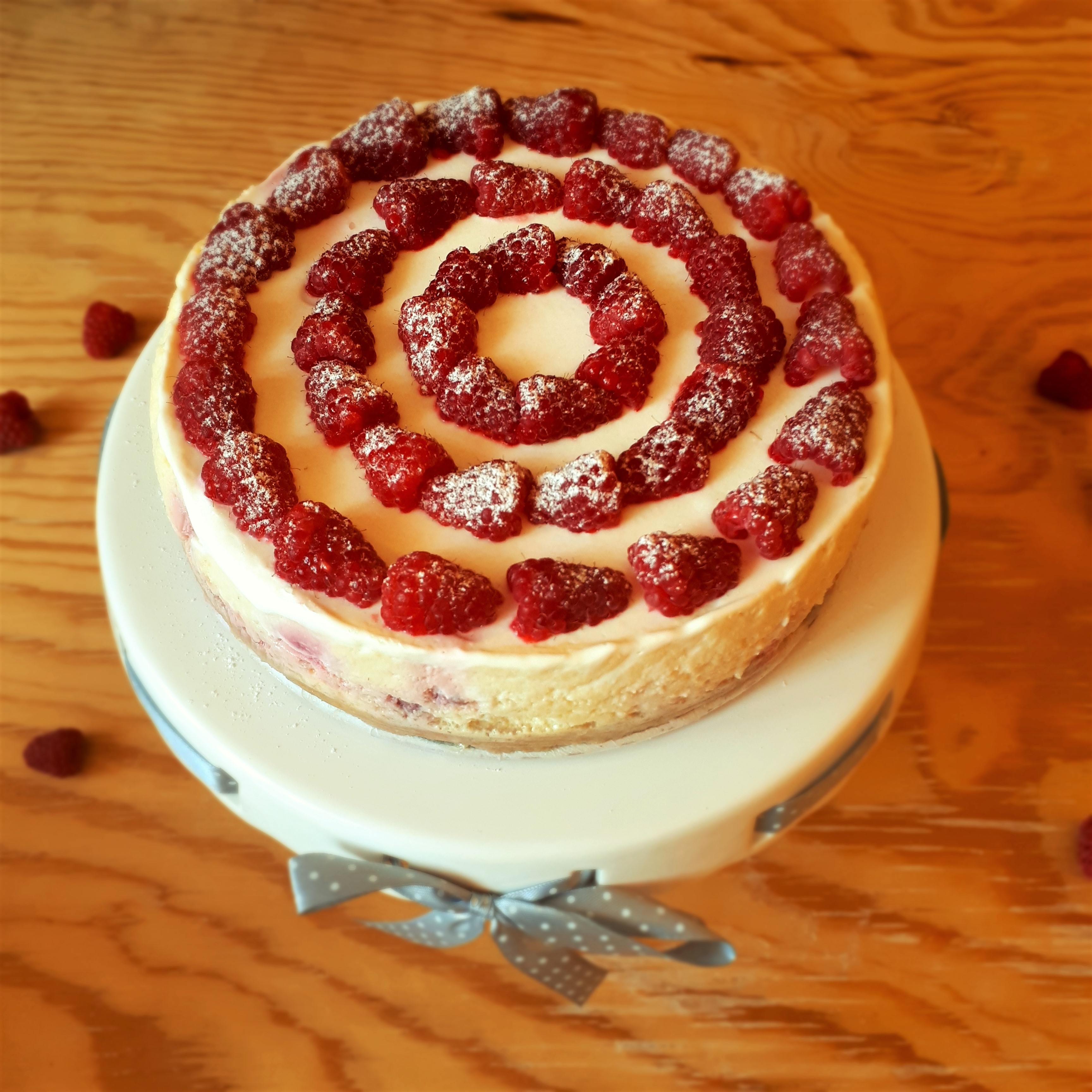 Cheesecake na bielom servírovacom podnose so šedou stužkou navrchu dokola naukladané maliny posypané práškovým cukrom na drevenom stole obsypané malinami